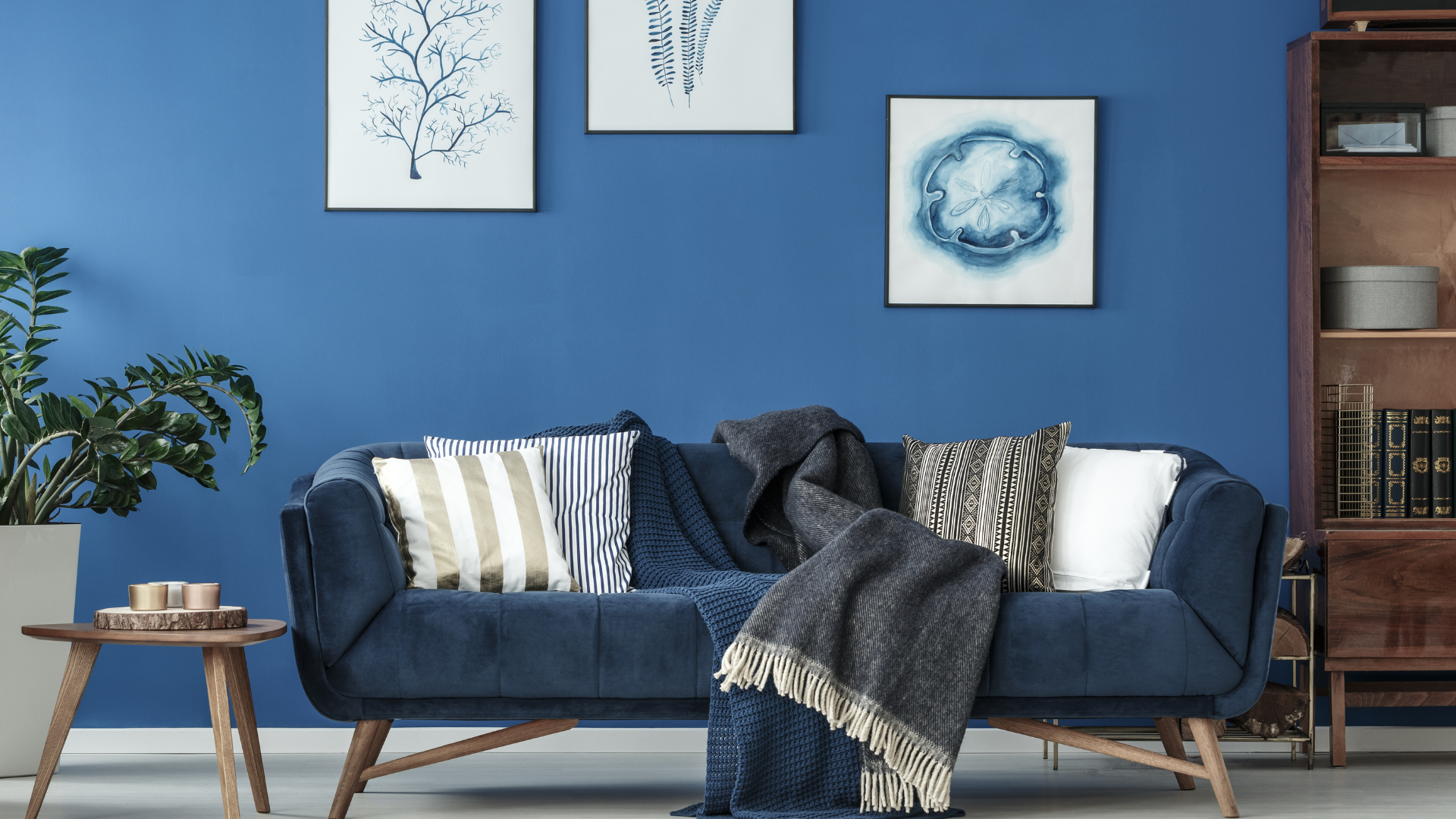 Salon avec canapé et décoration bleue